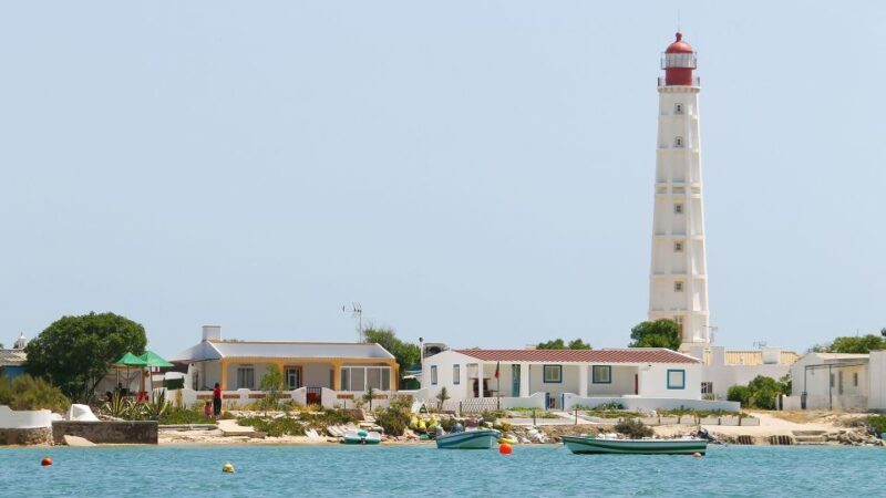 Olhão: 4-Hour Ria Formosa Islands Tour - Who Should Book This Tour?