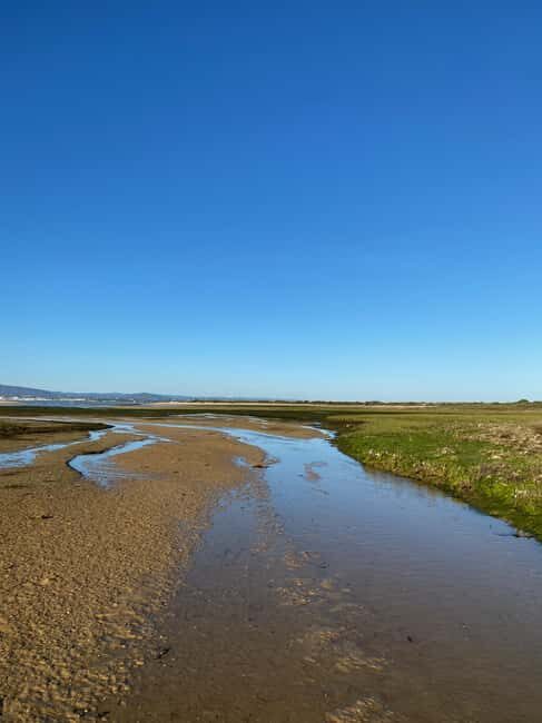 Olhão: Beautiful Exclusive Route: Private Boat Rental with Skipper - FAQ