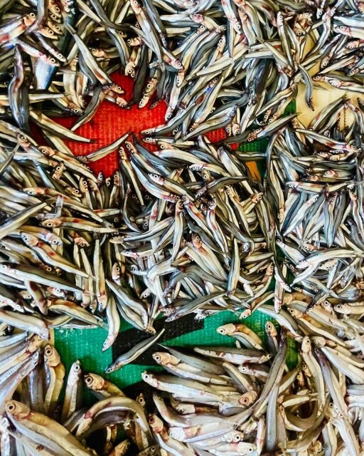 Olhão Fish Market & Food Tour - Authenticity and Review Highlights