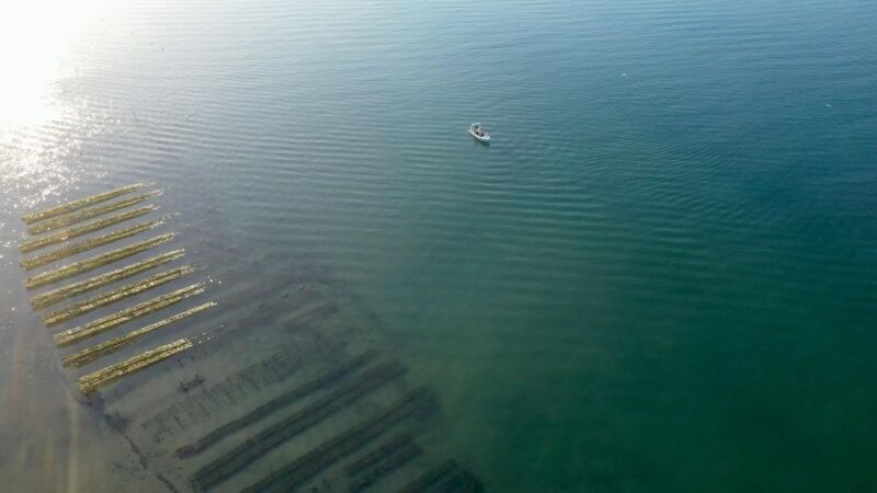 Olhão: Formosa Rota 2H - Key Points