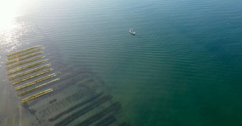 Olhão: Formosa Rota 2H - What’s Included and What’s Not