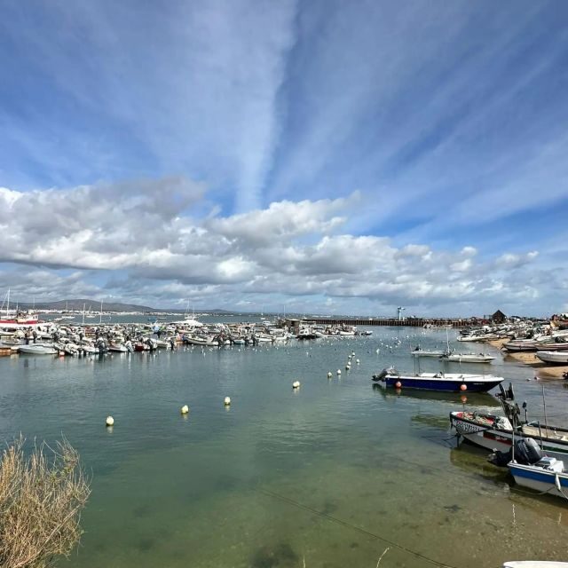 Olhão: Formosa Rota 2H - FAQ