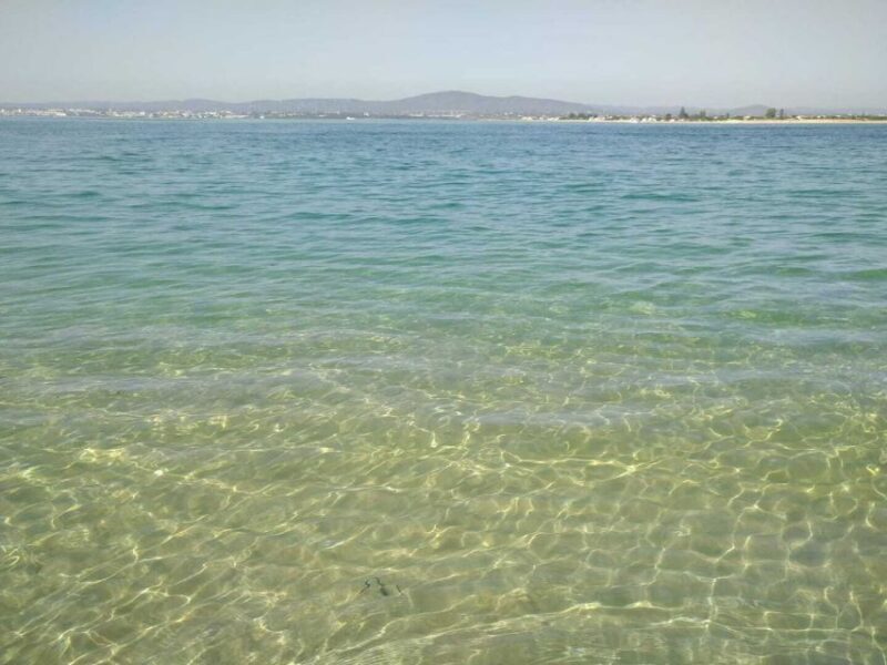 Olhão: Private Boat Tour to Ria Formosa - Olhão: Private Boat Tour to Ria Formosa — A Deep Dive into Portugal’s Natural Wonder