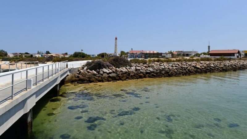 Olhão: Private Boat Tour to Ria Formosa - FAQ