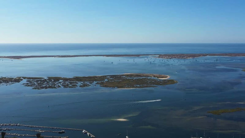 Olhão: Ria Formosa National Park and Islands Boat Cruise - A Deep Dive into the Ria Formosa Experience