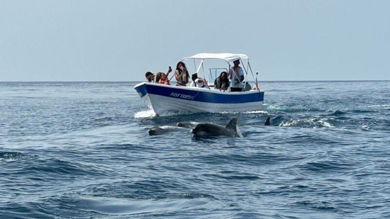 Olhão- Safari Watching Dolphins and other species - The Experience Overview: What Makes This Dolphin Safari Stand Out