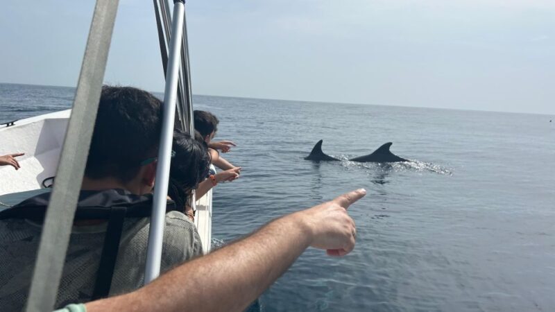 Olhão- Safari Watching Dolphins and other species - The Guides: Knowledgeable and Approachable