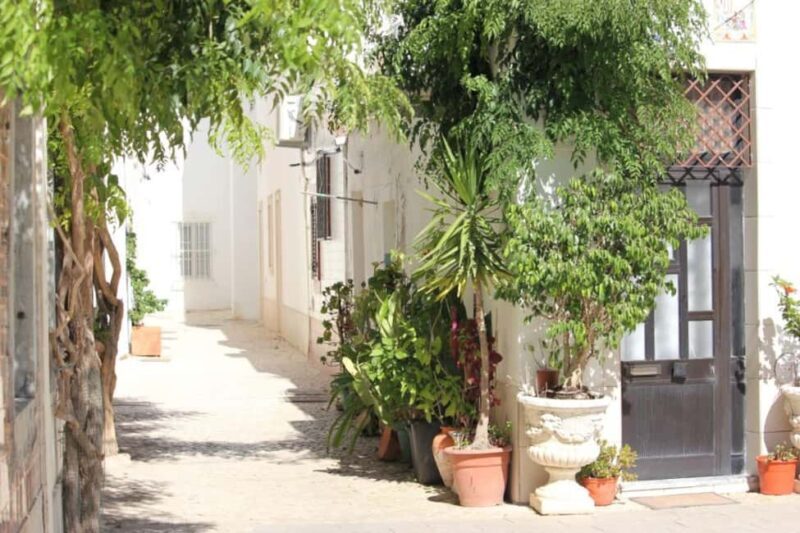 Olhão & the Enchanted Legends / Lenda Encantado - Final Thoughts