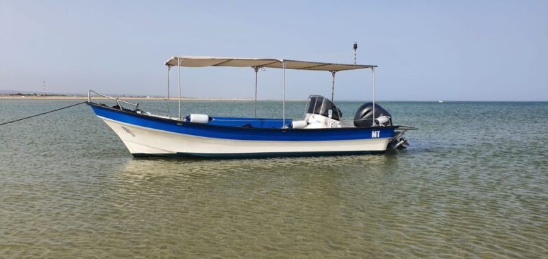 Olhão:5h ride 3 stops on the beaches and islands Ria Formosa - An In-Depth Look at the Ria Formosa Boat Tour