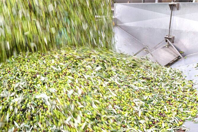 Olio Evo Gold Experience at Frantoio Buonamici in Fiesole - FAQ