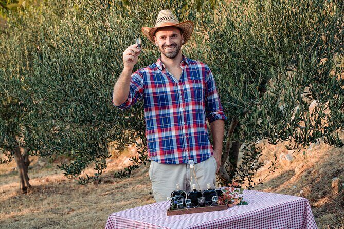 Olive farm & village - Pricing & Overall Value