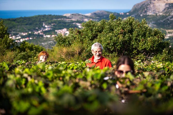 Olive farm & village - FAQ