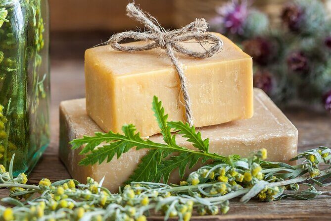 Olive harvest, visit to the oil mill and typical lunch - A Detailed Look at the Olive Harvest and Oil Mill Tour