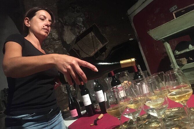 Olive Mill and Winery Experience at Castiglione in Teverina - Key Points