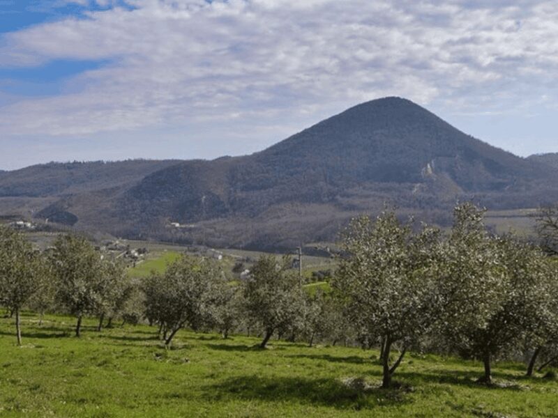 Olive Mill Tour and Tasting in the Padua Hills - Who Should Consider This Tour?