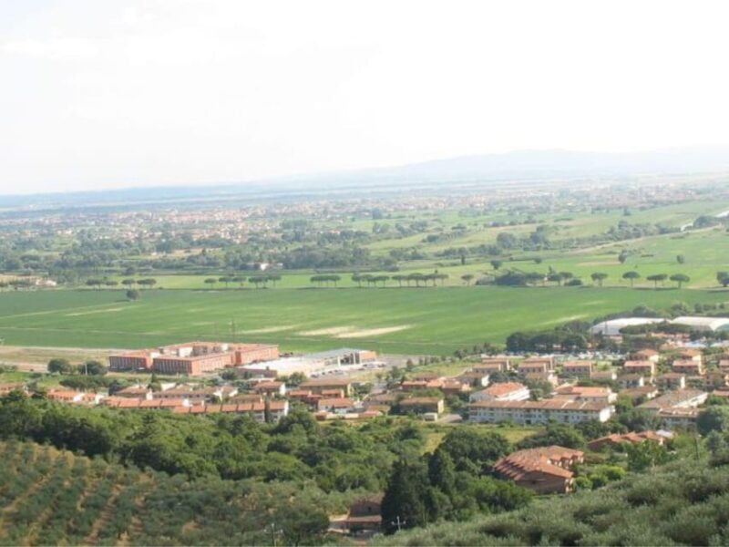 Olive Mill Tour with Oil and Food Tastings near Pisa - Who Should Consider This Tour?
