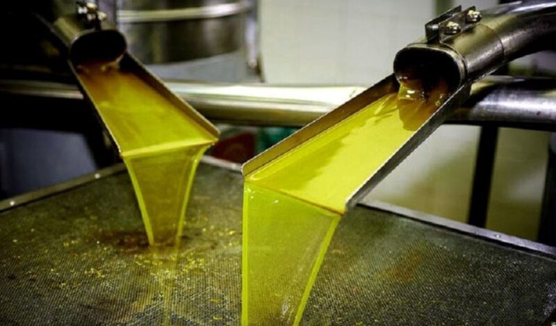 Olive Mill Visit & Olive oil Tasting 3-hour Trip Private - An In-Depth Look at the Tour Experience