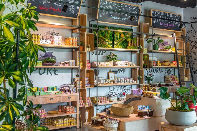 Olive museum Klis with educational olive oil tasting - Authenticity and Tips