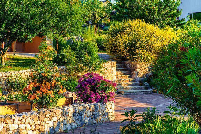 Olive museum Klis with educational olive oil tasting - FAQs