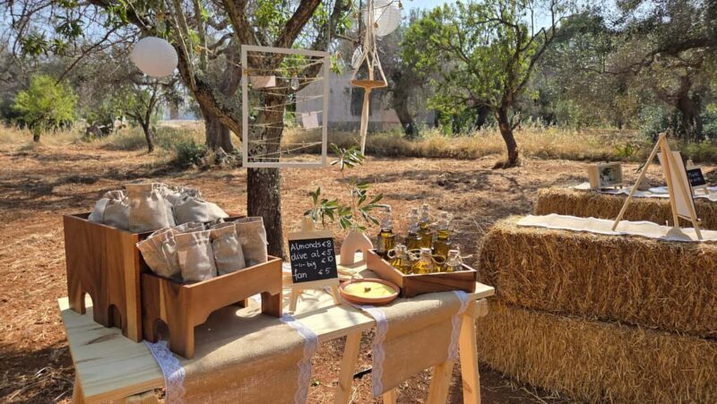 Olive Oil and almond Tour and Tasting: Brindisi, Ostuni - Olive Oil and Almond Tour and Tasting: Brindisi, Ostuni