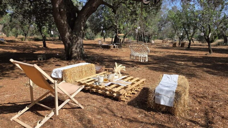 Olive Oil and almond Tour and Tasting: Brindisi, Ostuni - Practical Details and What to Expect