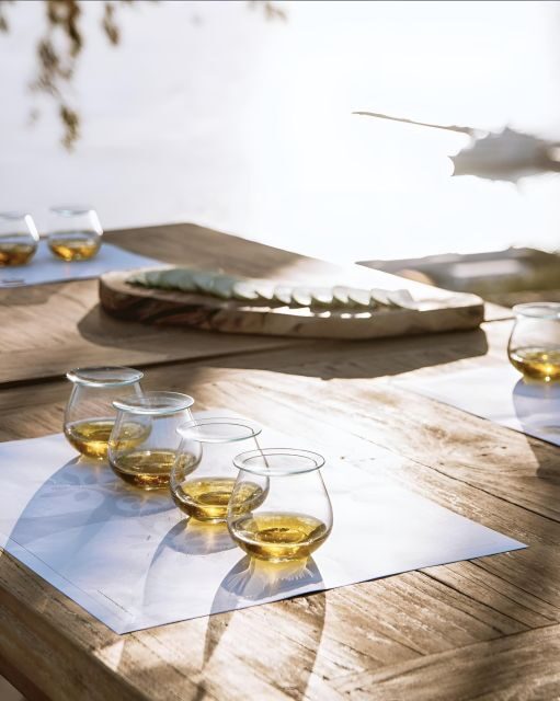 Olive Oil, Cheese, and Wine Tasting with Local Expert - Who Will Love This Tour?