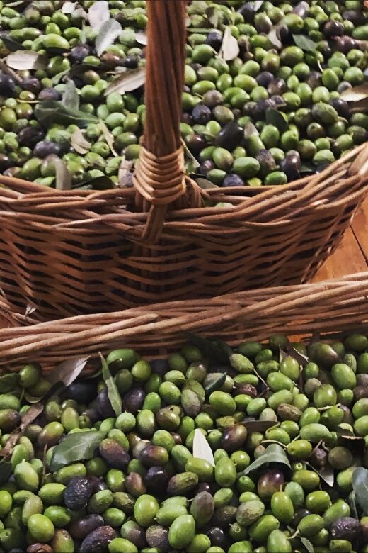 Olive Oil, Cheese, and Wine Tasting with Local Expert - FAQ
