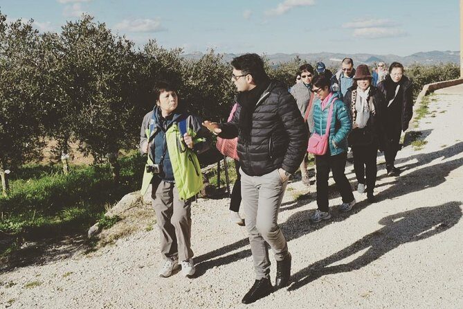 Olive Oil Experience - Olive Oil Experience in Sicily: A Deep Dive into Liquid Gold