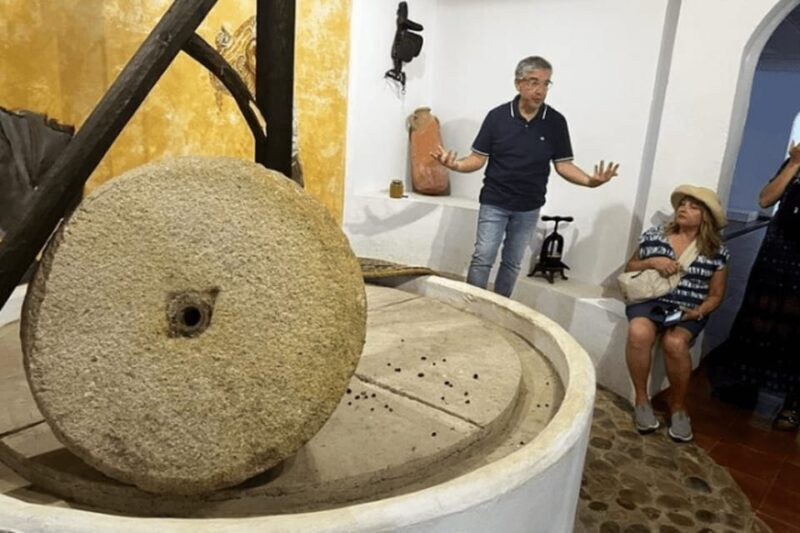 Olive Oil Factory from Sevilla Private Tour - Key Points