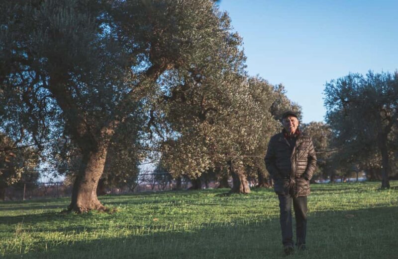 Olive Oil Mill Tour with Tasting and Gift near Bari - Key Points