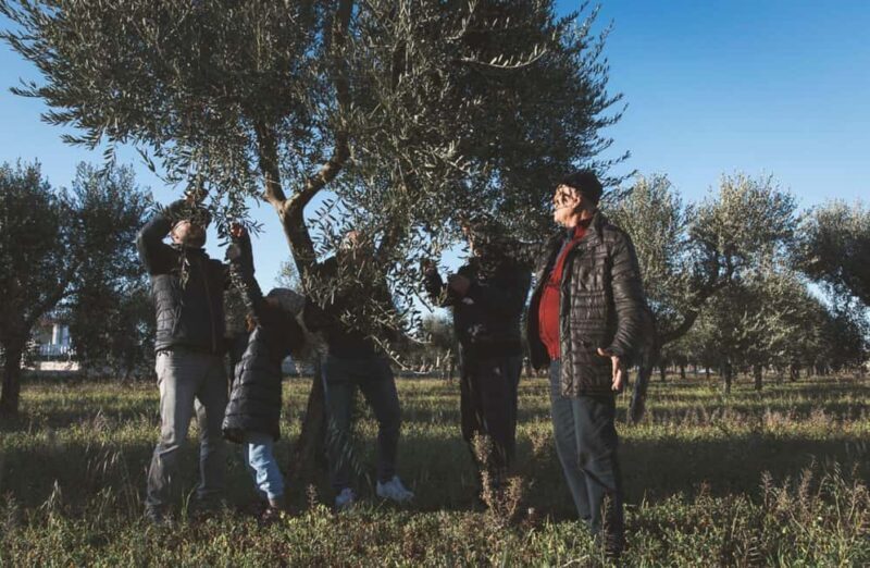 Olive Oil Mill Tour with Tasting and Gift near Bari - Why This Tour Is Worth It