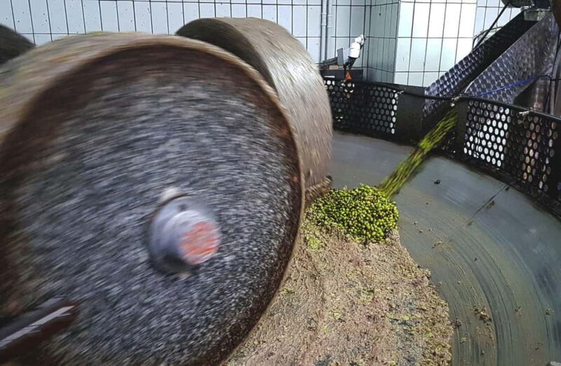 Olive Oil Mill Tour with Tasting and Gift near Bari - Final Thoughts