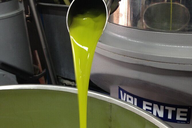 Olive Oil Private Full-Day Tour with Tasting in Valencia - Exploring the Heart of Olives in Valencia
