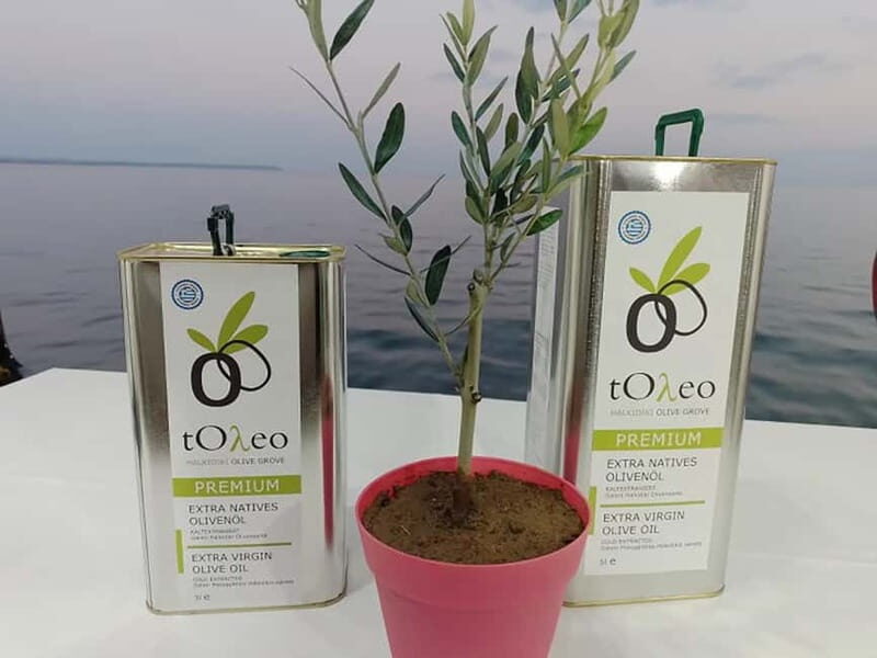 Olive Oil Seminar with Tasting in Metaggitsi - Halkidiki. - Key Points