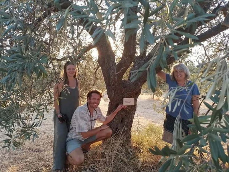 Olive Oil Seminar with Tasting in Metaggitsi - Halkidiki. - The Value of This Experience