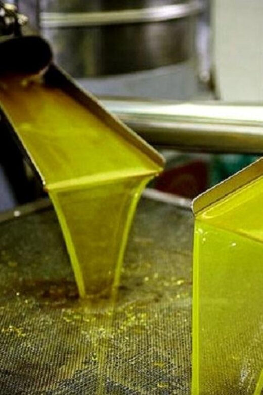 Olive oil Tasting 3-hour Trip from Chania Souda Cruise Port - Practical Tips