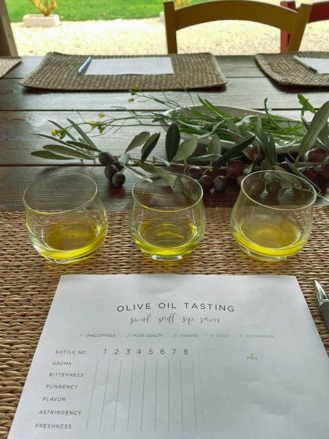 Olive oil tasting and olive grove walking tour - FAQ
