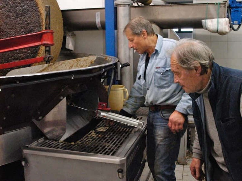 Olive Oil Tasting and Visit at Lake Como - An In-Depth Look at the Olive Oil Experience at Lake Como