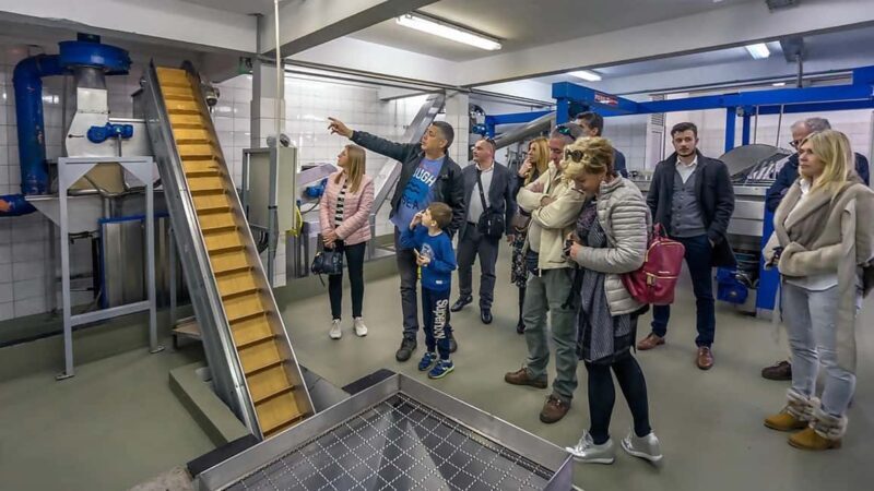 Olive Oil Tasting & Factory Tour: olta Island from Split - Who Will Love This Tour?