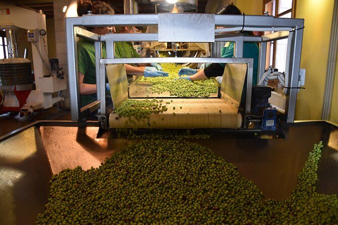 Olive Oil Tasting Tour - FAQs
