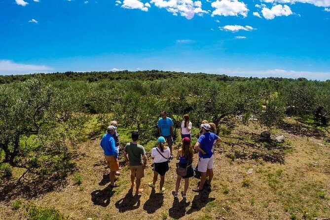 Olive Oil Tour of Solta Island with Lunch - Exploring the Olive Oil Tour of Solta Island from Split: A Practical and Authentic Experience