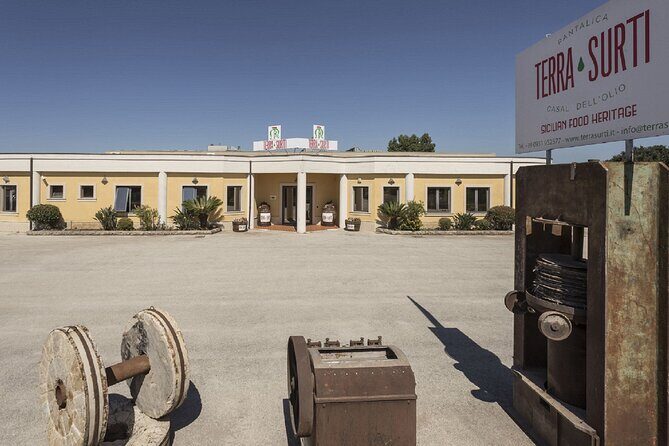 Olive Oil Tour Visit to the oil mill and olive oil tasting - The Sum Up