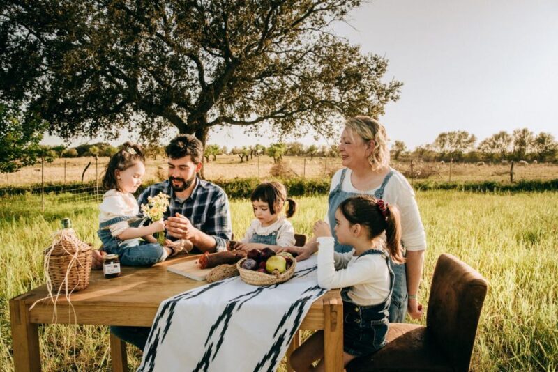 Olive plant and mill visit and tasting - Exploring the Mallorca Olive Oil Tour