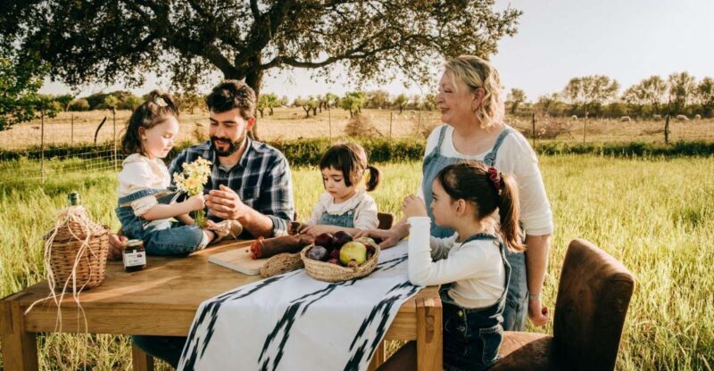 Olive plant and mill visit and tasting - FAQ