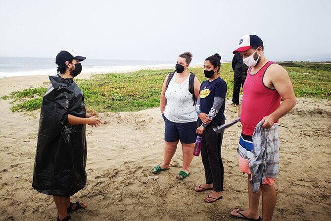 Olive Ridley Turtle Release Experience - Exploring the Experience in Detail