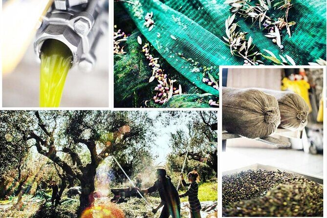 Olive Tour & Tasting - FAQ