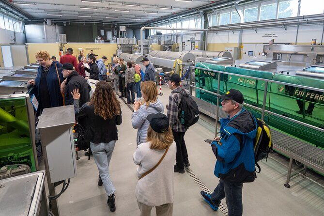 Olive Tree Tour, Visit Vallarella Oil Mill, Oil Tasting - An In-Depth Look at the Vallarella Olive Oil Tour