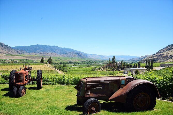 Oliver & Osoyoos Private Wine Tour - Full Day - What Travelers Say