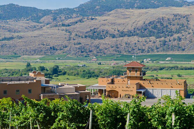 Oliver & Osoyoos Private Wine Tour - Half Day - What Makes This Tour Stand Out