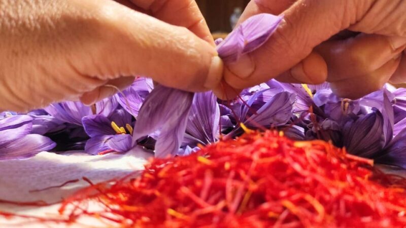 Olmedo: visit to the saffron workshop with tasting - The Setting and Atmosphere